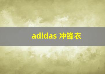 adidas 冲锋衣